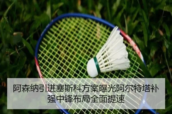 阿森纳引进塞斯科方案曝光阿尔特塔补强中锋布局全面提速